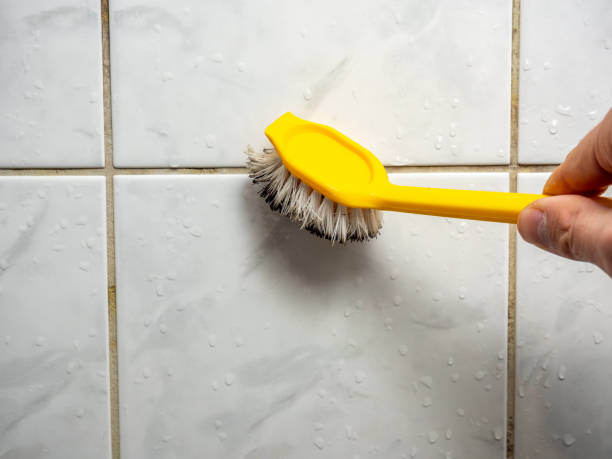 Mold Removal and Inspection in Lyndonville, VT