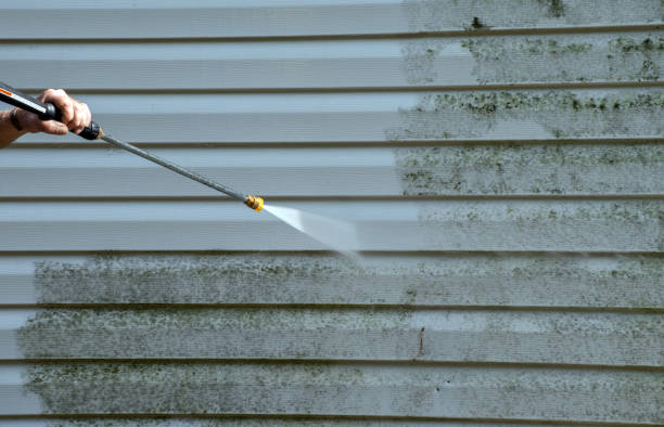 Home Mold Removal in Lyndonville, VT