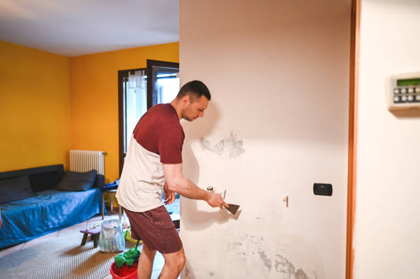 Best Mold Testing  in Lyndonville, VT